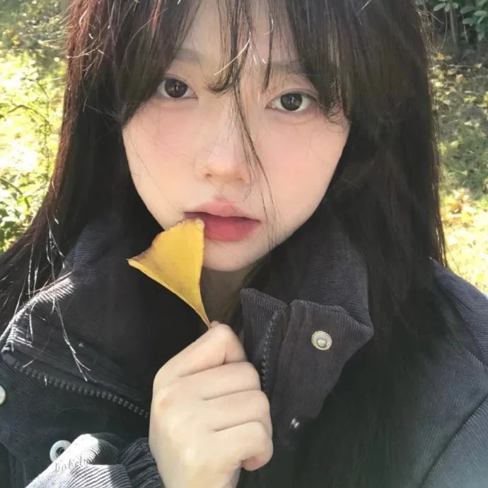 岛：消失的人们